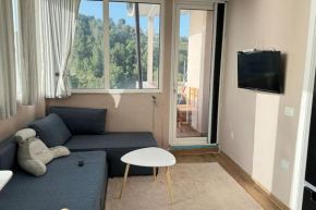 BS Apartment 5